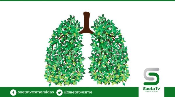 Vacunas, el escudo de los pulmones