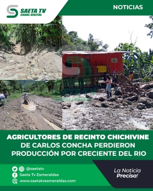 AGRICULTORES DE RECINTO CHICHIVINE DE CARLOS CONCHA PERDIERON PRODUCCIÓN POR CRECIENTE DEL RIO