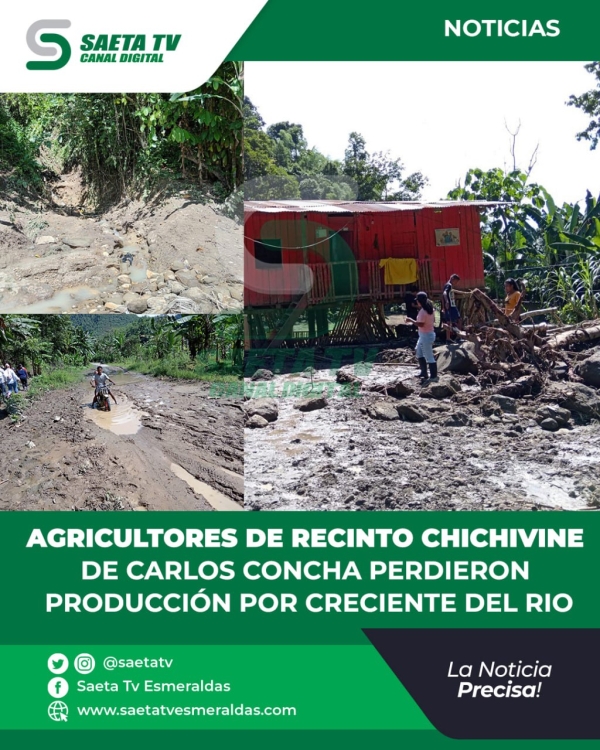 AGRICULTORES DE RECINTO CHICHIVINE DE CARLOS CONCHA PERDIERON PRODUCCIÓN POR CRECIENTE DEL RIO