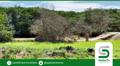 Esmeraldas a punto de perder la riqueza del manglar