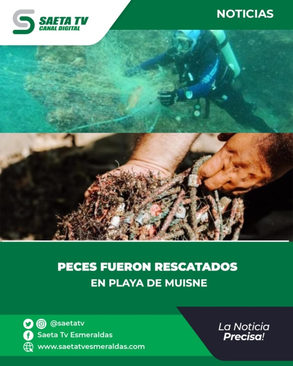 PECES FUERON RESCATADOS EN PLAYA DE MUISNE