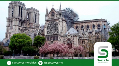 Talarán árboles de robles para reconstruir catedral de Notre Dame