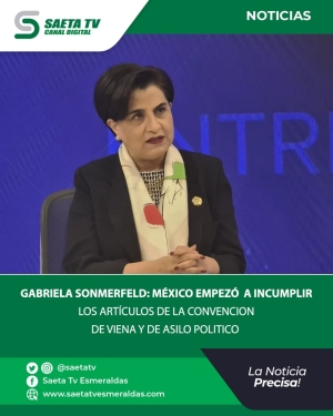 GABRIELA SONMERFELD: MÉXICO EMPEZÓ A INCUMPLIR LOS ARTÍCULOS DE LA CONVENCION DE VIENA Y DE ASILO POLITICO