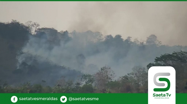 53 incendios forestales ocasionados por pirómanos