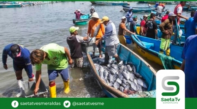 Seguro social campesino perdió 17.014 aportantes en 3 años