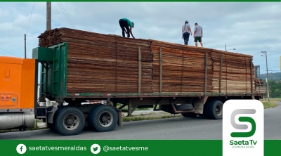 Nadie controla tala de madera en la provincia