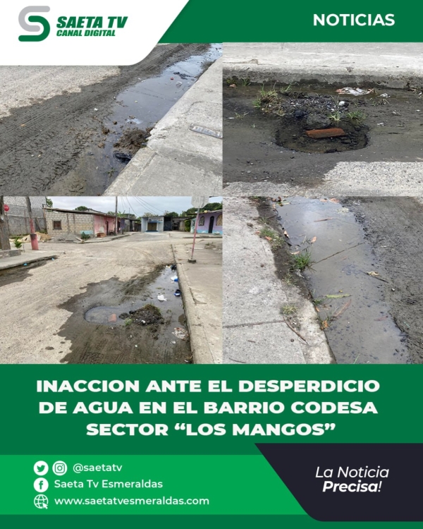 Inacción ante el Desperdicio de Agua en el Barrio Codesa, Sector Los Mangos