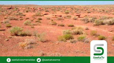 Migrante ecuatoriana y sus dos hijos fueron rescatados en el desierto de EE.UU.