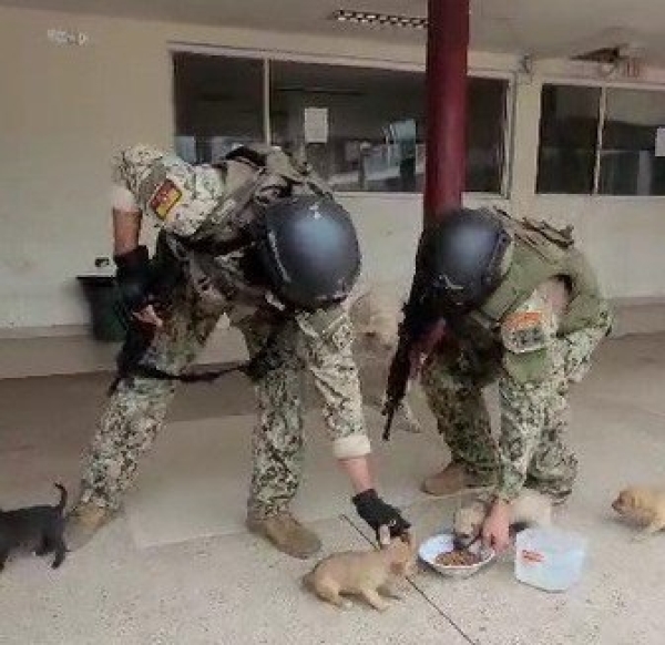 MILITARES ENCUENTRAN EN UNA FINCA EN LA VIA A RIOVERDE MASCOTAS ABANDONADAS Y MORIBUNDAS