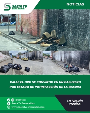 MALOS OLORES EN CALLE EL ORO POR ESTADO DE PUTREFACCIÓN DE LA BASURA