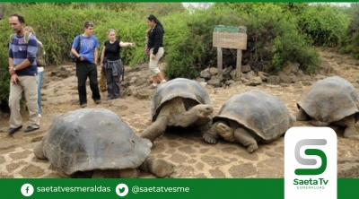 Galápagos sin contagios comunitarios busca recuperar el turismo